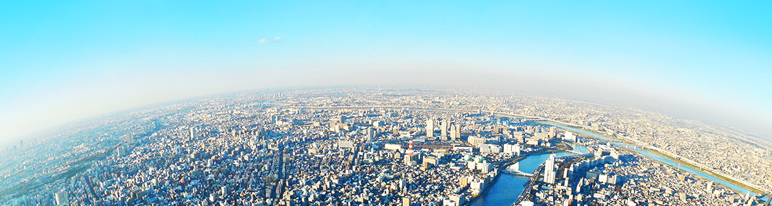 大学・研究機関